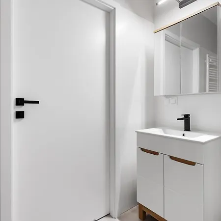 Nowoczesne I Eleganckie Oraz Z Balkonami W Poznaniu By Renters Poznań